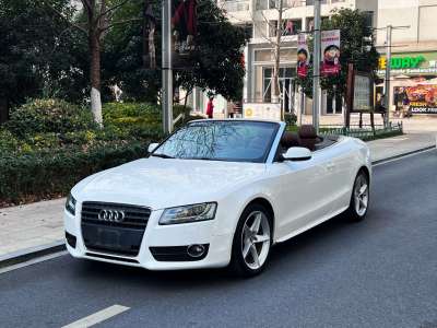 2011年7月 奧迪 奧迪A5(進(jìn)口) 2.0TFSI Cabriolet圖片