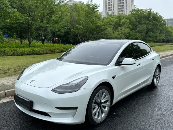 特斯拉 Model 3 标准续航后驱升级版