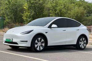 Model Y 特斯拉 改款 長(zhǎng)續(xù)航全輪驅(qū)動(dòng)版