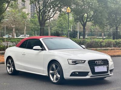 2015年4月 奧迪 奧迪A5(進(jìn)口) Cabriolet 45 TFSI風(fēng)尚版圖片