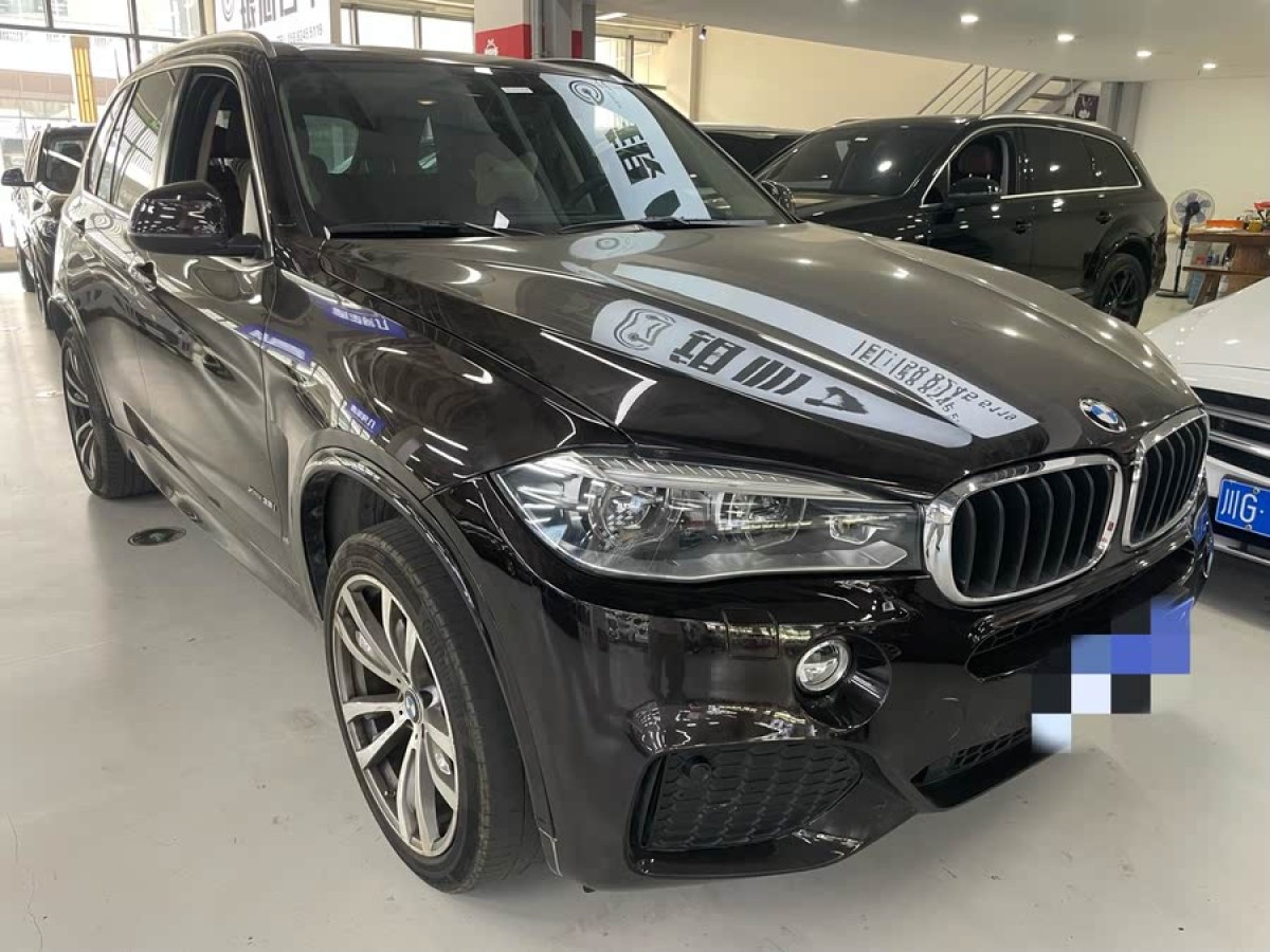 寶馬 寶馬X5  2017款 xDrive35i 領(lǐng)先型圖片