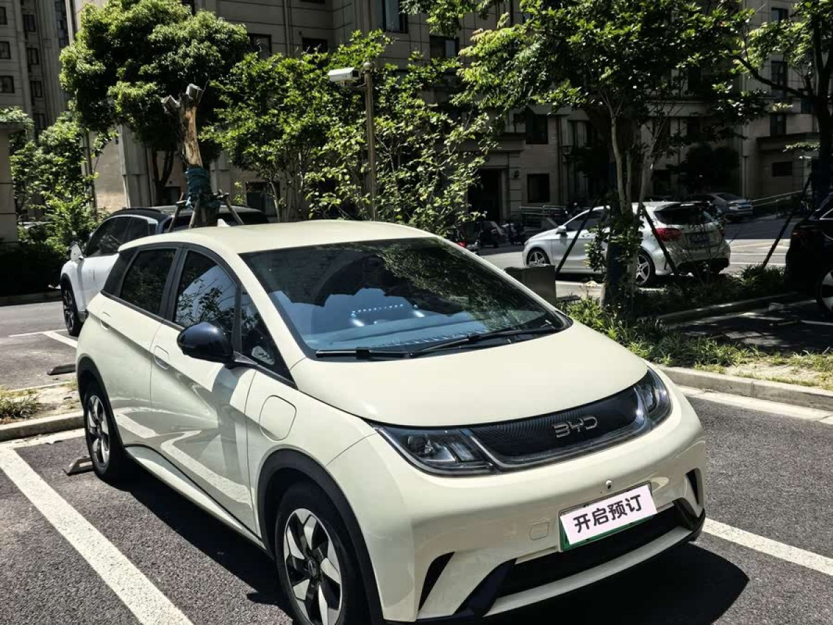 比亞迪 海豚  2024款 榮耀版 420km 自由版圖片
