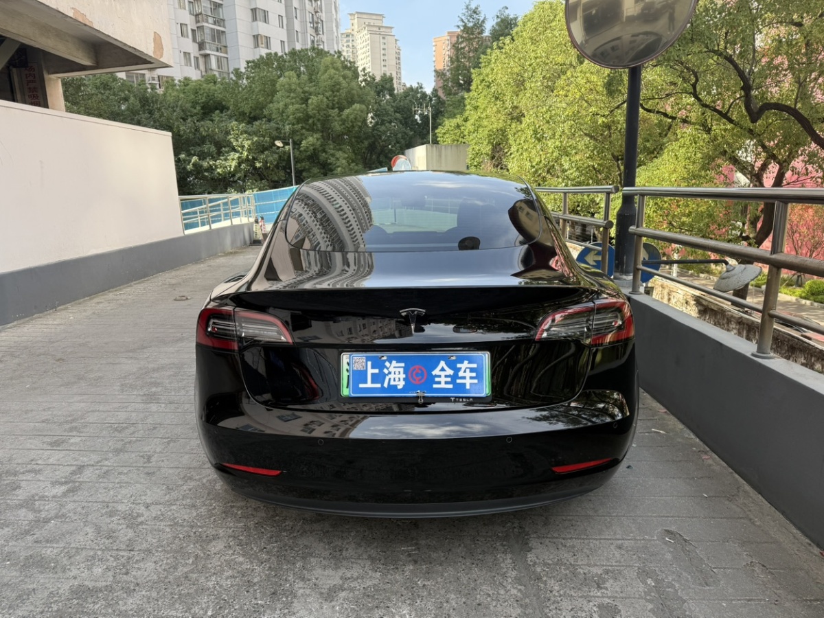 特斯拉 Model 3  2019款 標(biāo)準(zhǔn)續(xù)航后驅(qū)升級(jí)版圖片