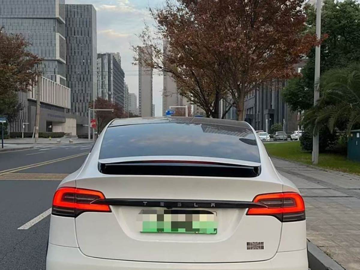 特斯拉 Model X  2023款 雙電機(jī)全輪驅(qū)動(dòng)版圖片