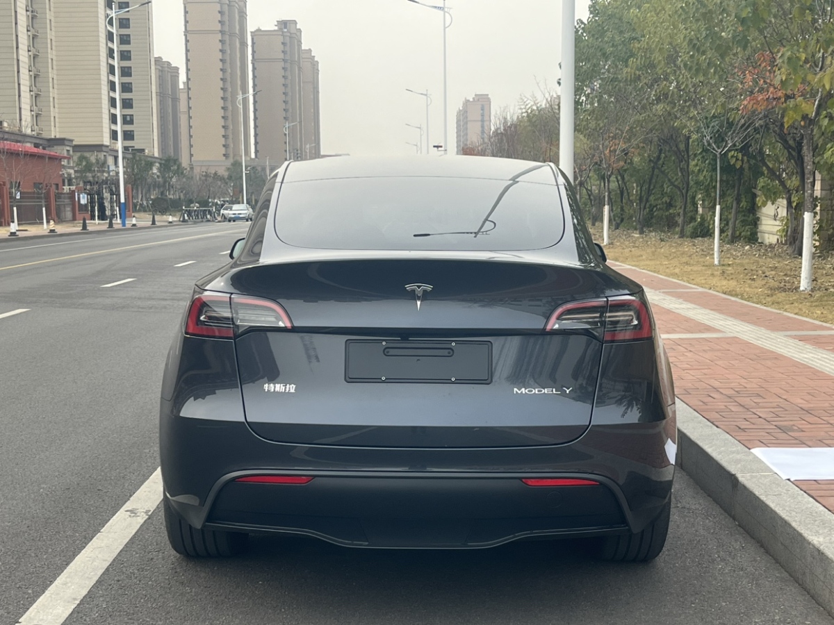 特斯拉 Model 3  2022款 后輪驅(qū)動(dòng)版圖片