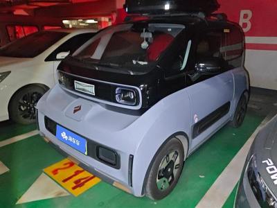 2022年3月 宝骏 宝骏KiWi EV 艺术家 三元锂图片