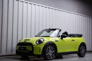 MINI MINI 2.0T COOPER S CABRIO 艺术家