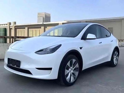 2022年3月 特斯拉 Model Y 后輪驅動版圖片