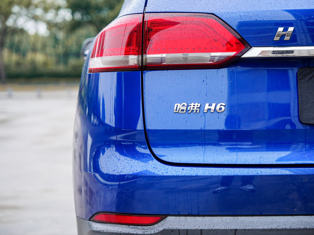 哈弗 H6  2019款 蓝标 1.5GDIT 自动豪华智联版图片