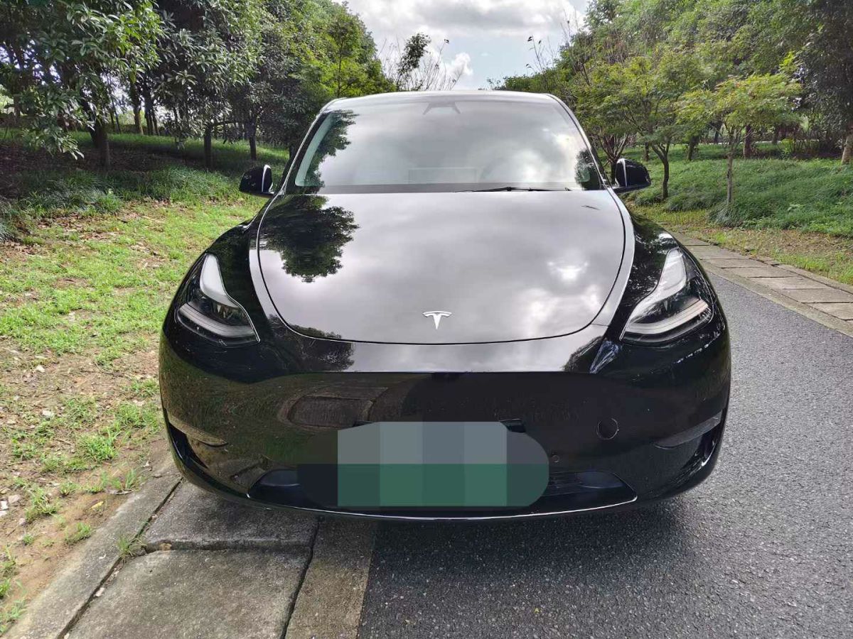 特斯拉 Model Y  2022款 Performance高性能全輪驅(qū)動版圖片