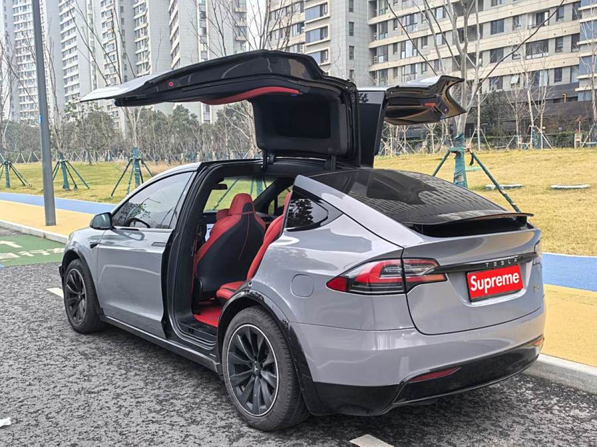 特斯拉 Model X  2019款 Performance 高性能版圖片