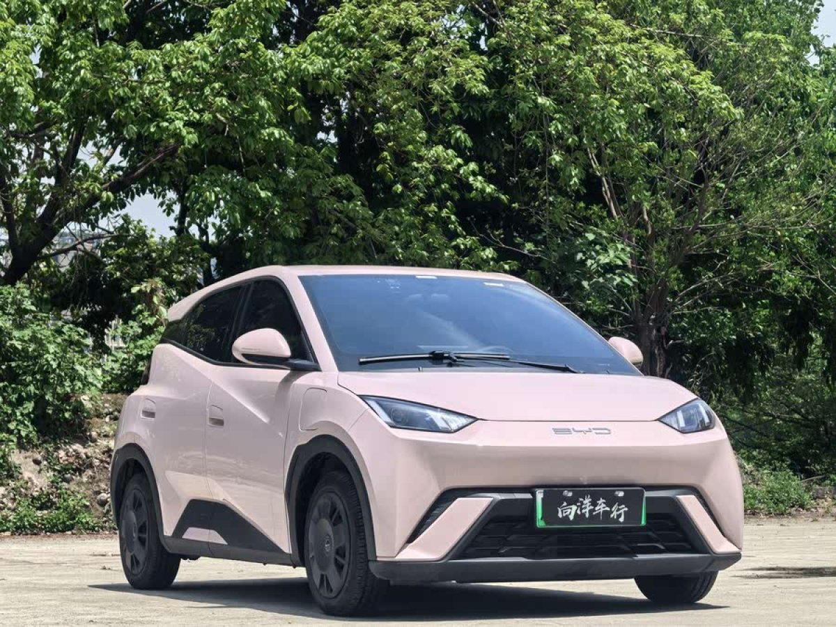 比亞迪 海鷗  2023款 活力版圖片