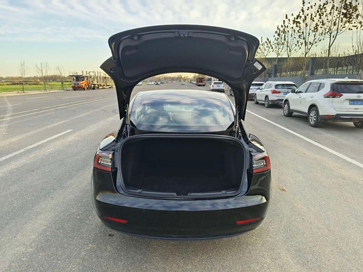 特斯拉 Model 3  2019款 長續(xù)航后驅版圖片