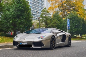 Aventador 兰博基尼 LP 700-4 Roadster