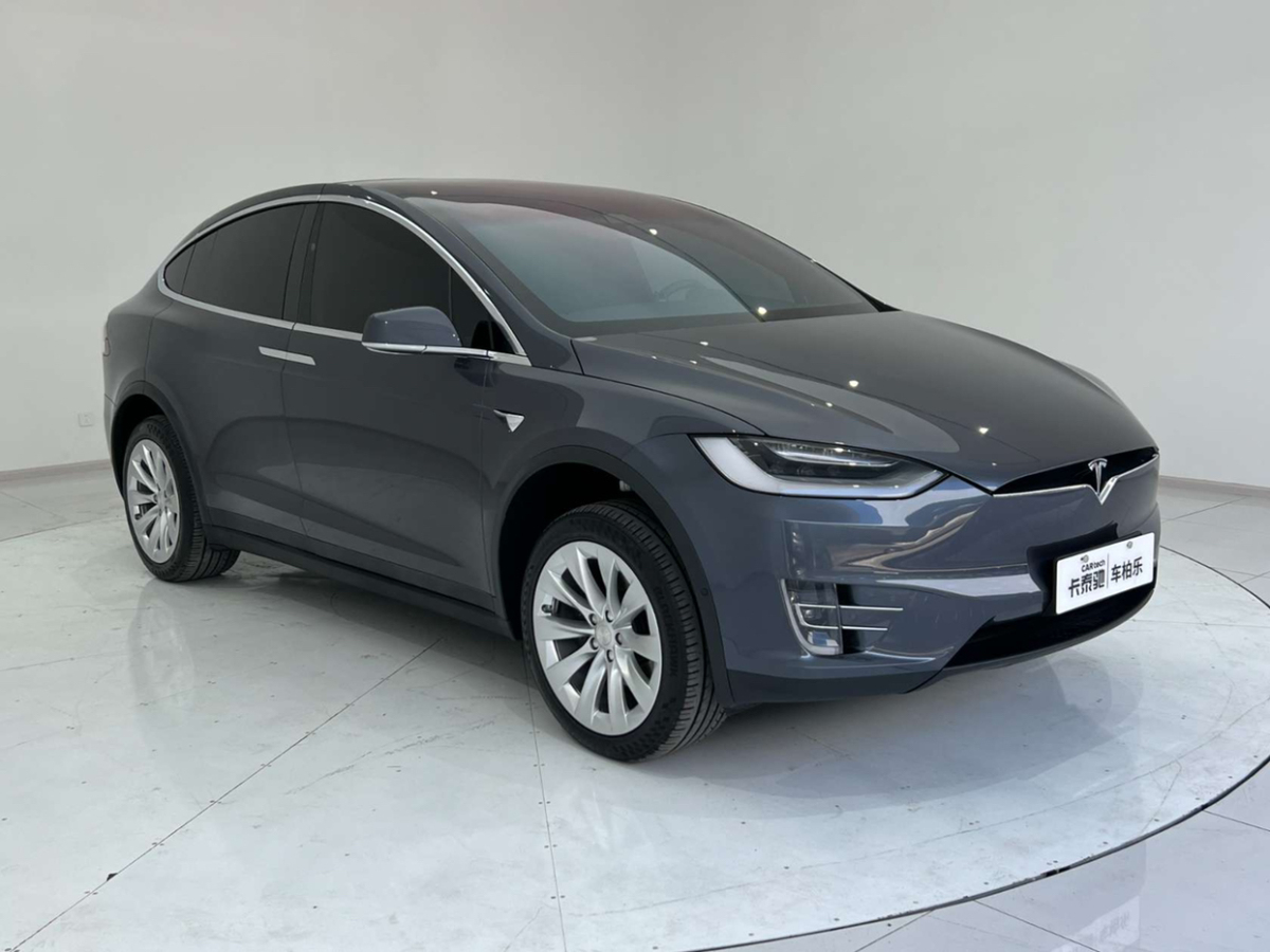 特斯拉 Model X  2020款 长续航升级版图片