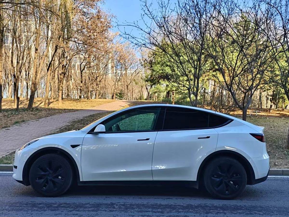 特斯拉 Model 3  2022款 后輪驅(qū)動版圖片