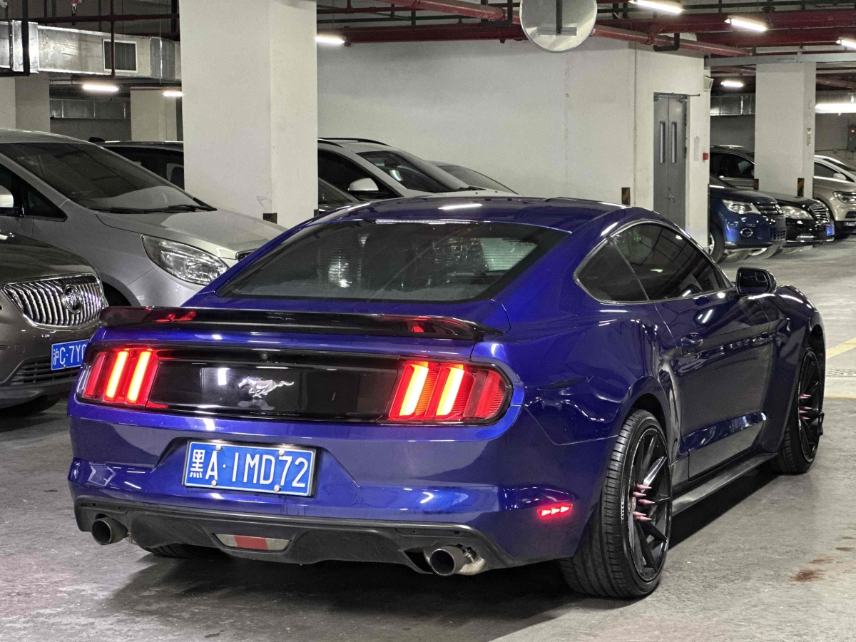 福特 Mustang  2016款 2.3T 性能版圖片