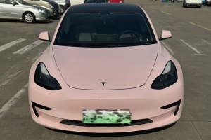 Model 3 特斯拉 標(biāo)準(zhǔn)續(xù)航后驅(qū)升級(jí)版