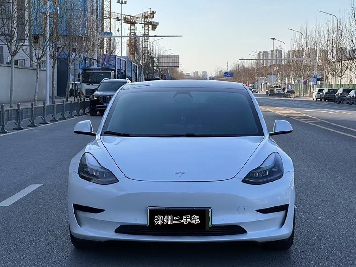 特斯拉 Model 3  2021款 改款 標(biāo)準(zhǔn)續(xù)航后驅(qū)升級版圖片