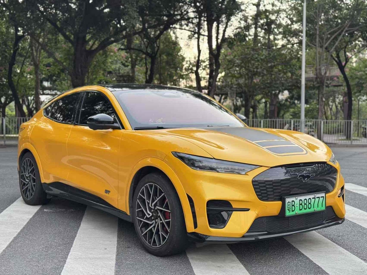 福特 Mustang Mach-E  2021款 GT图片