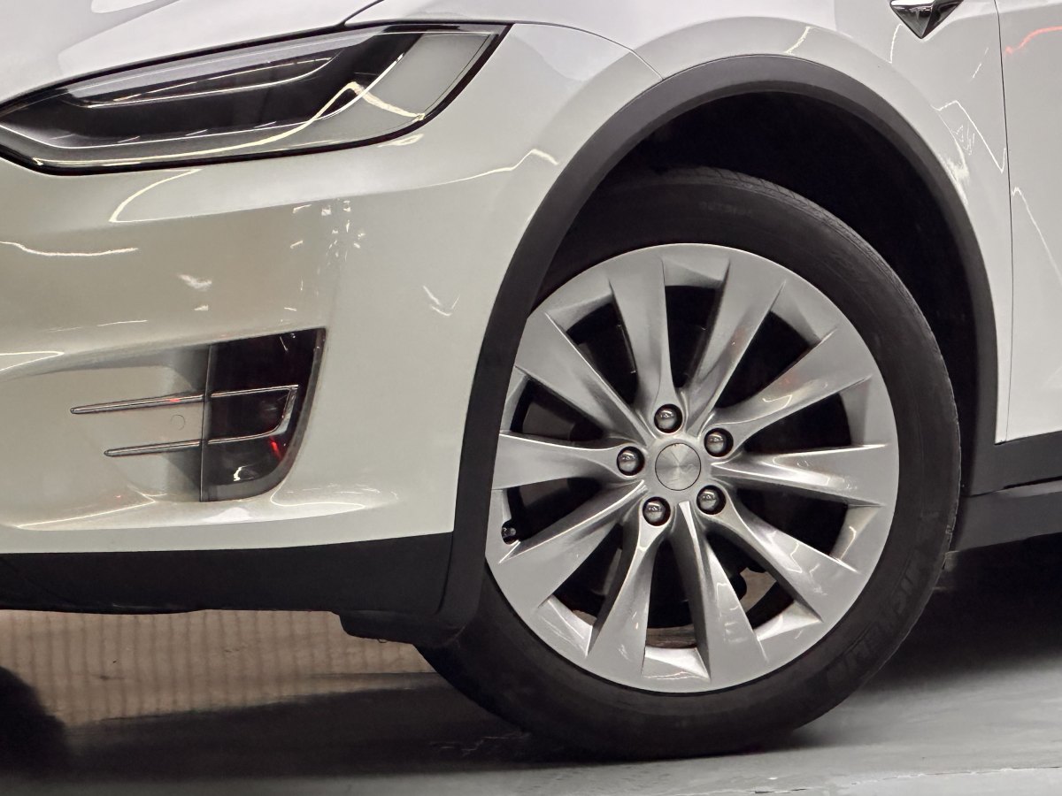 特斯拉 Model X  2017款 Model X 100D 長續(xù)航版圖片