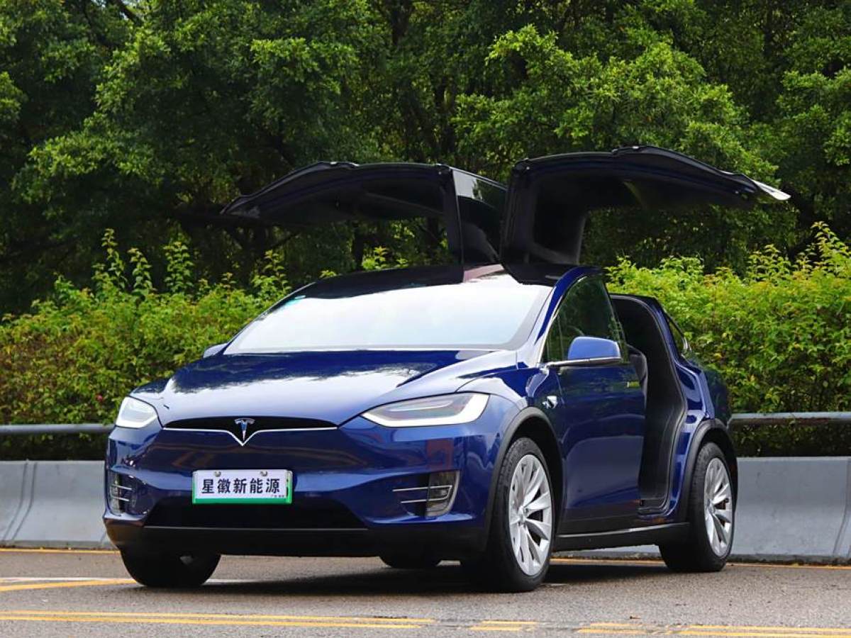 特斯拉 Model X  2017款 Model X 100D 長續(xù)航版圖片