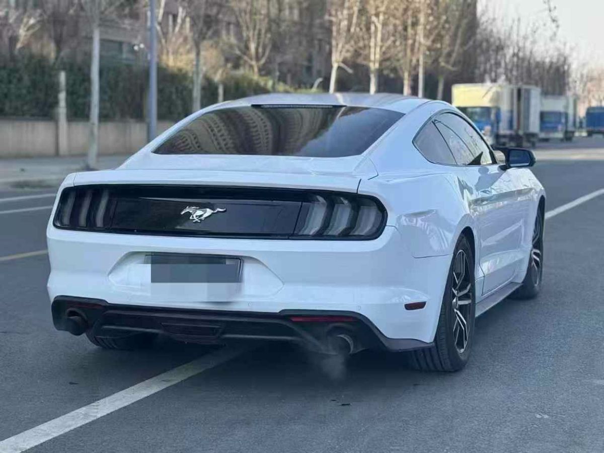 福特 Mustang  2018款 2.3L EcoBoost圖片