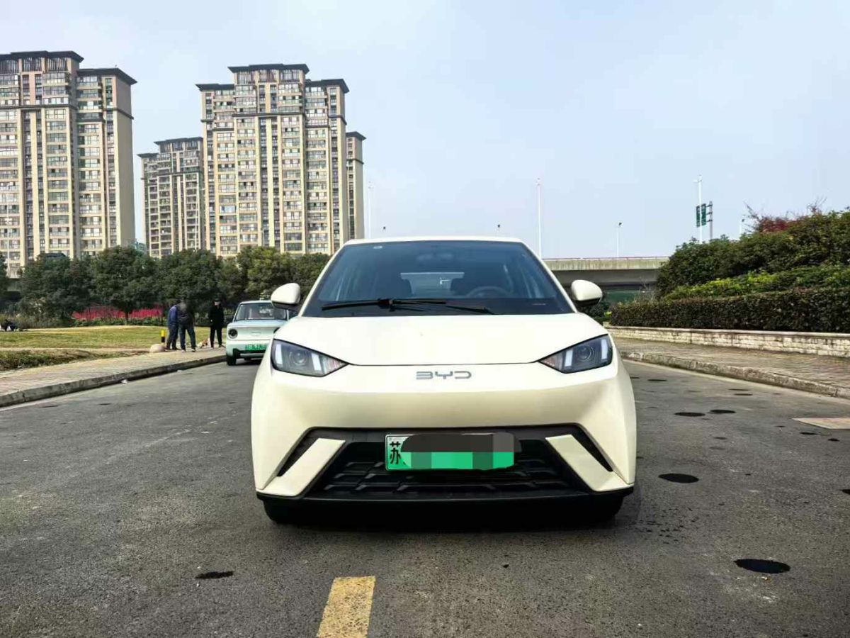 比亞迪 宋L DM-i  2024款 112km 超越型圖片