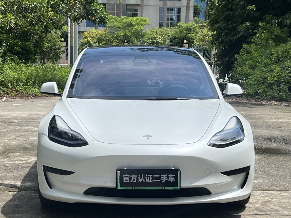 特斯拉 Model 3  2019款 標(biāo)準(zhǔn)續(xù)航后驅(qū)升級(jí)版圖片