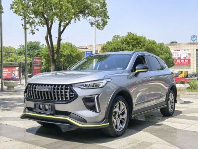 2023年2月 哈弗 哈弗赤兔 勁享版 1.5T 紫銅兔圖片
