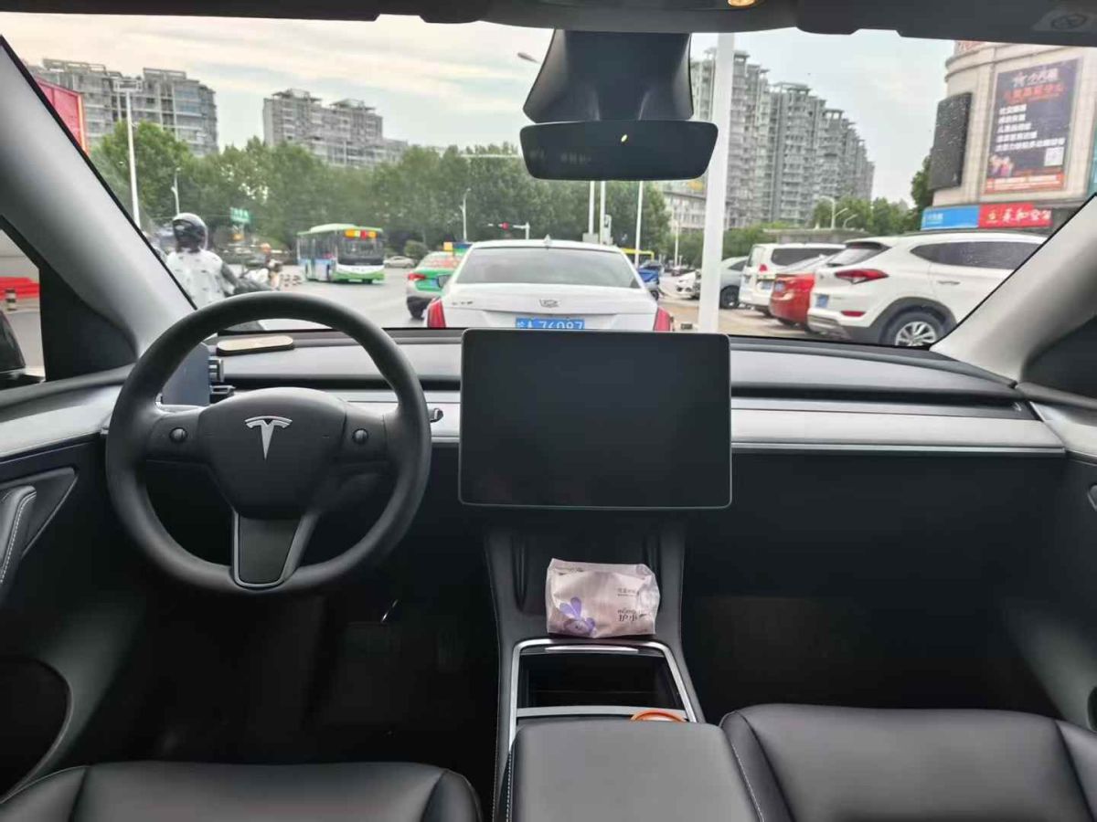 特斯拉 Model Y  2024款 Performance高性能版圖片