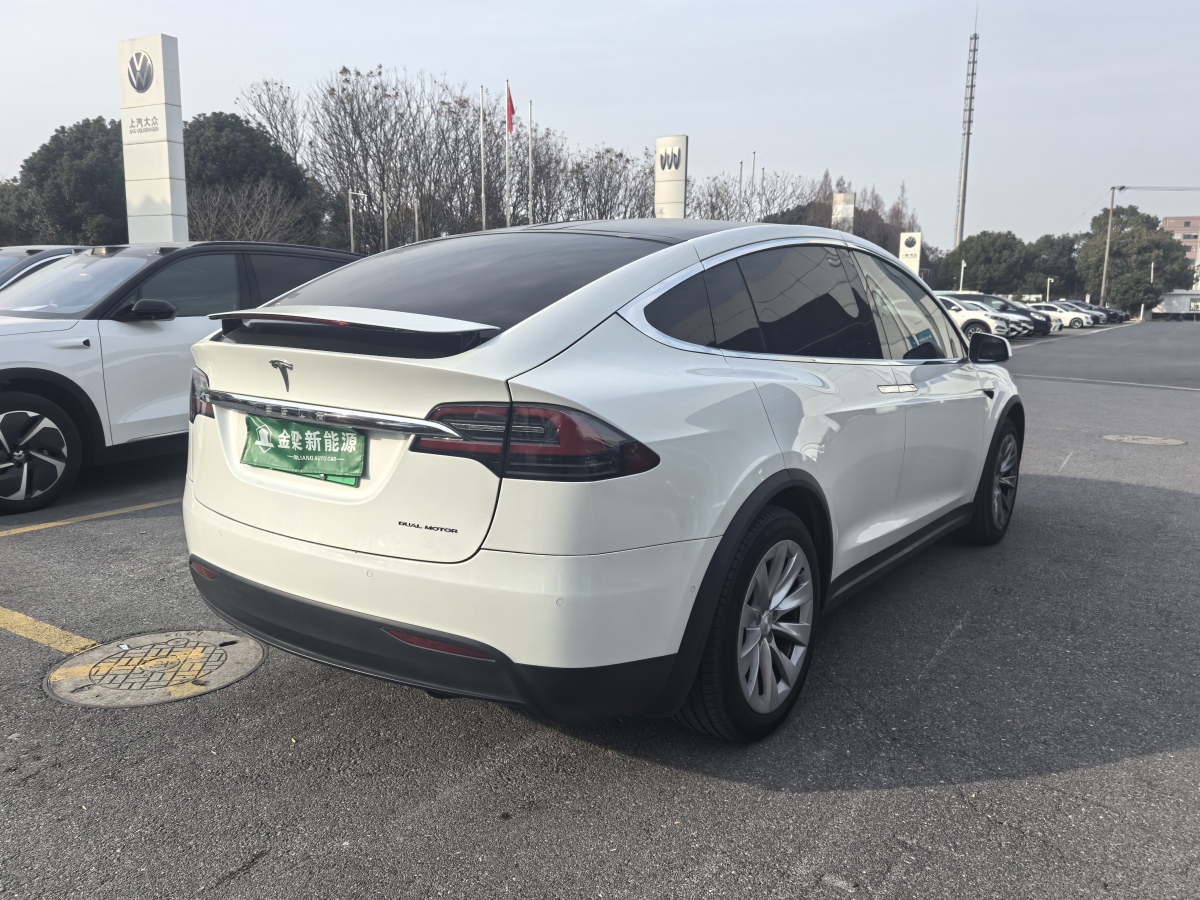 特斯拉 Model X  2019款 長續(xù)航版圖片