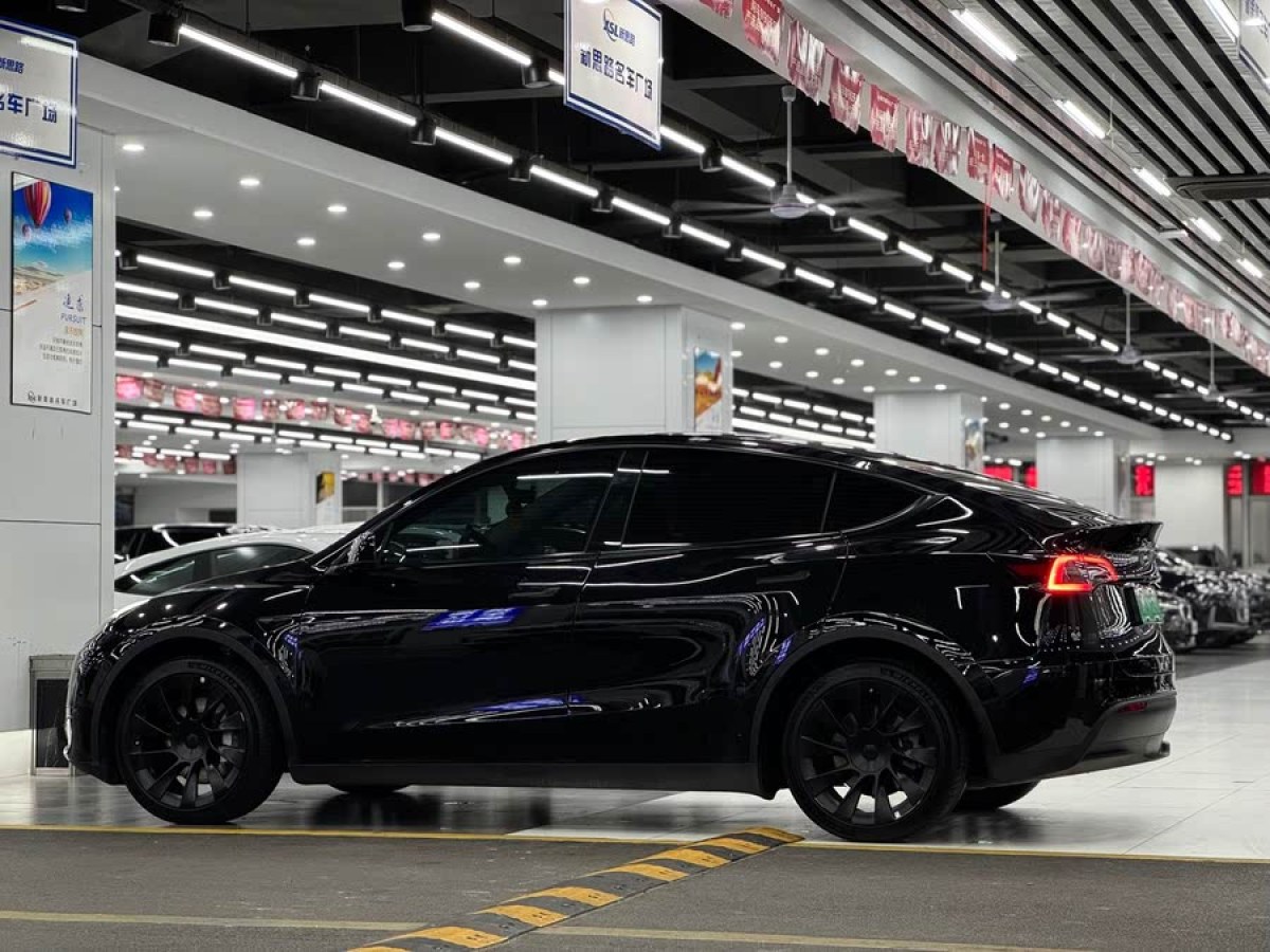 特斯拉 Model Y  2024款 長續(xù)航全輪驅(qū)動版圖片