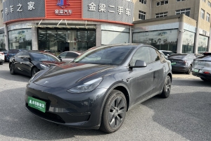 Model Y 特斯拉 长续航焕新版 双电机全轮驱动