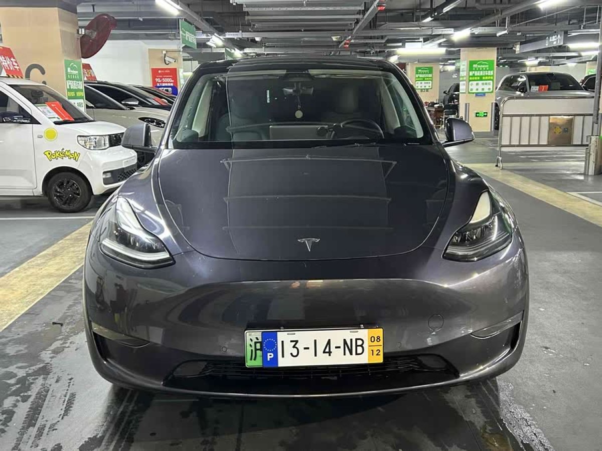 特斯拉 Model Y  2021款 改款 長(zhǎng)續(xù)航全輪驅(qū)動(dòng)版圖片