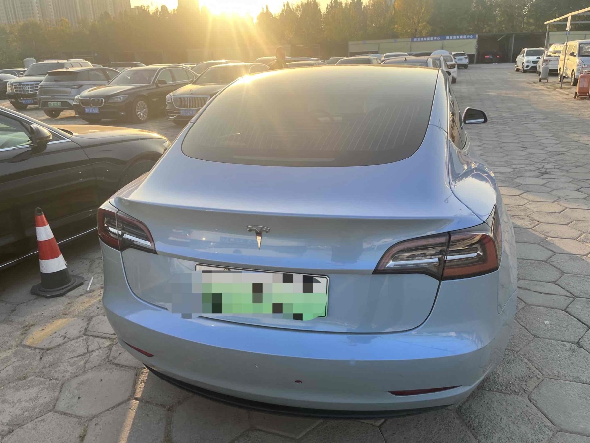 特斯拉 Model Y  2020款 改款 標(biāo)準(zhǔn)續(xù)航后驅(qū)升級版圖片