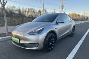 Model Y 特斯拉 改款 长续航全轮驱动版