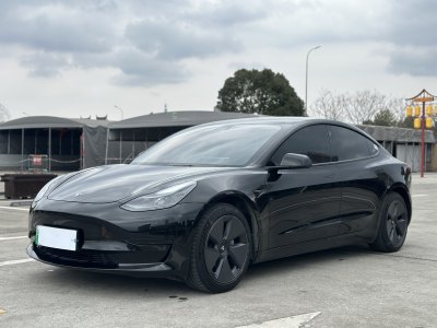 2021年3月 特斯拉 Model 3 標準續(xù)航后驅(qū)升級版圖片