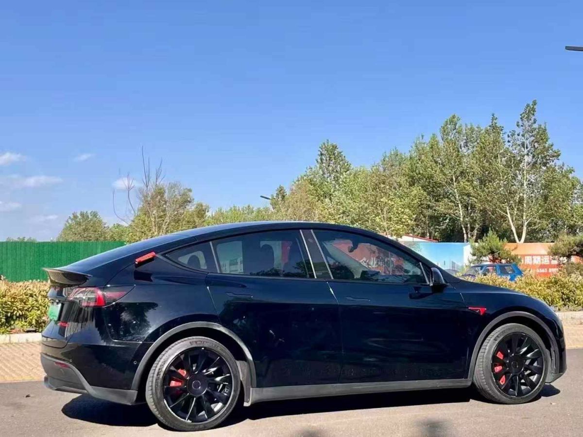特斯拉 Model Y  2021款 標(biāo)準(zhǔn)續(xù)航后驅(qū)版圖片