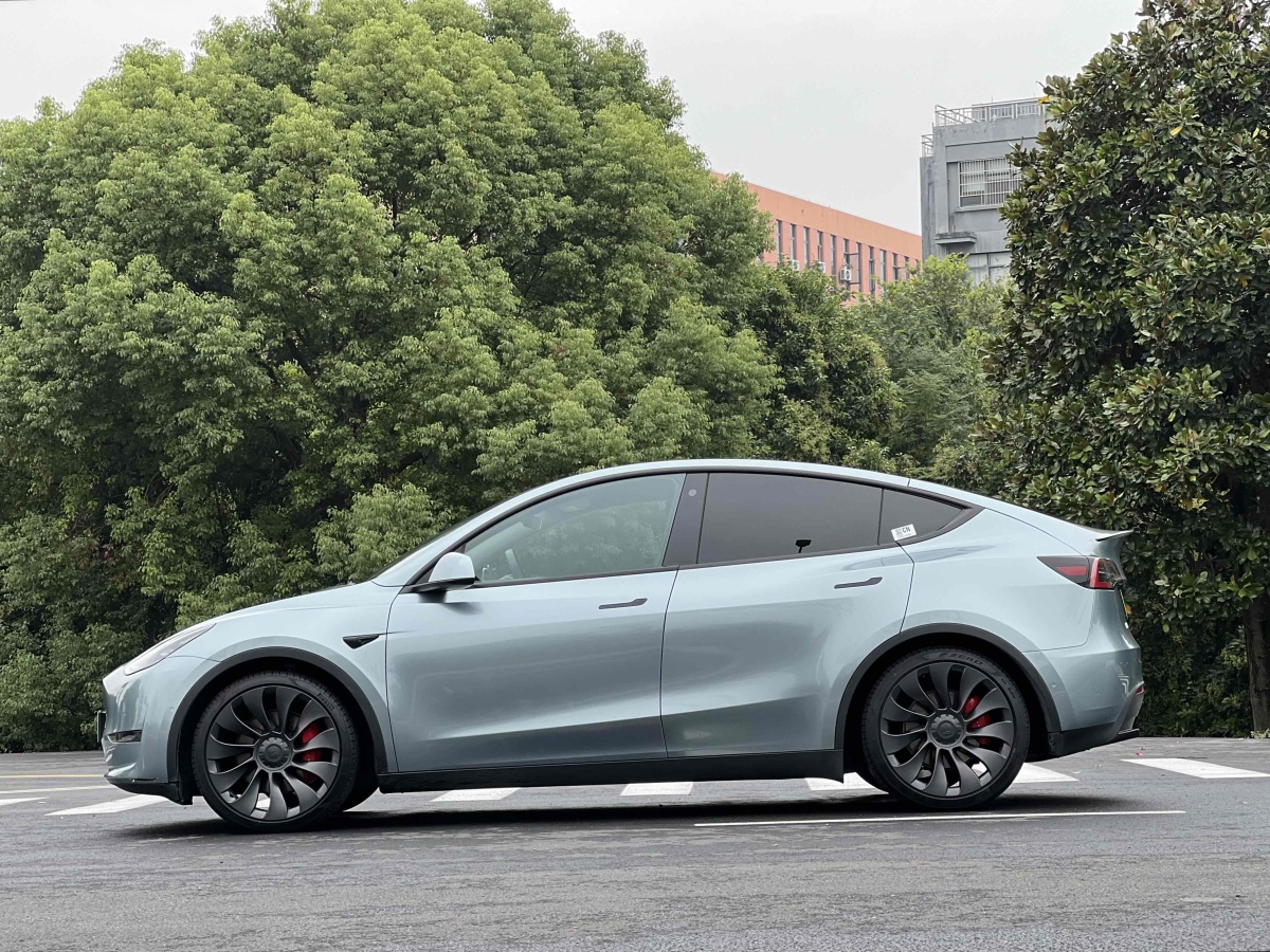 特斯拉 Model Y  2022款 Performance高性能全輪驅動版圖片