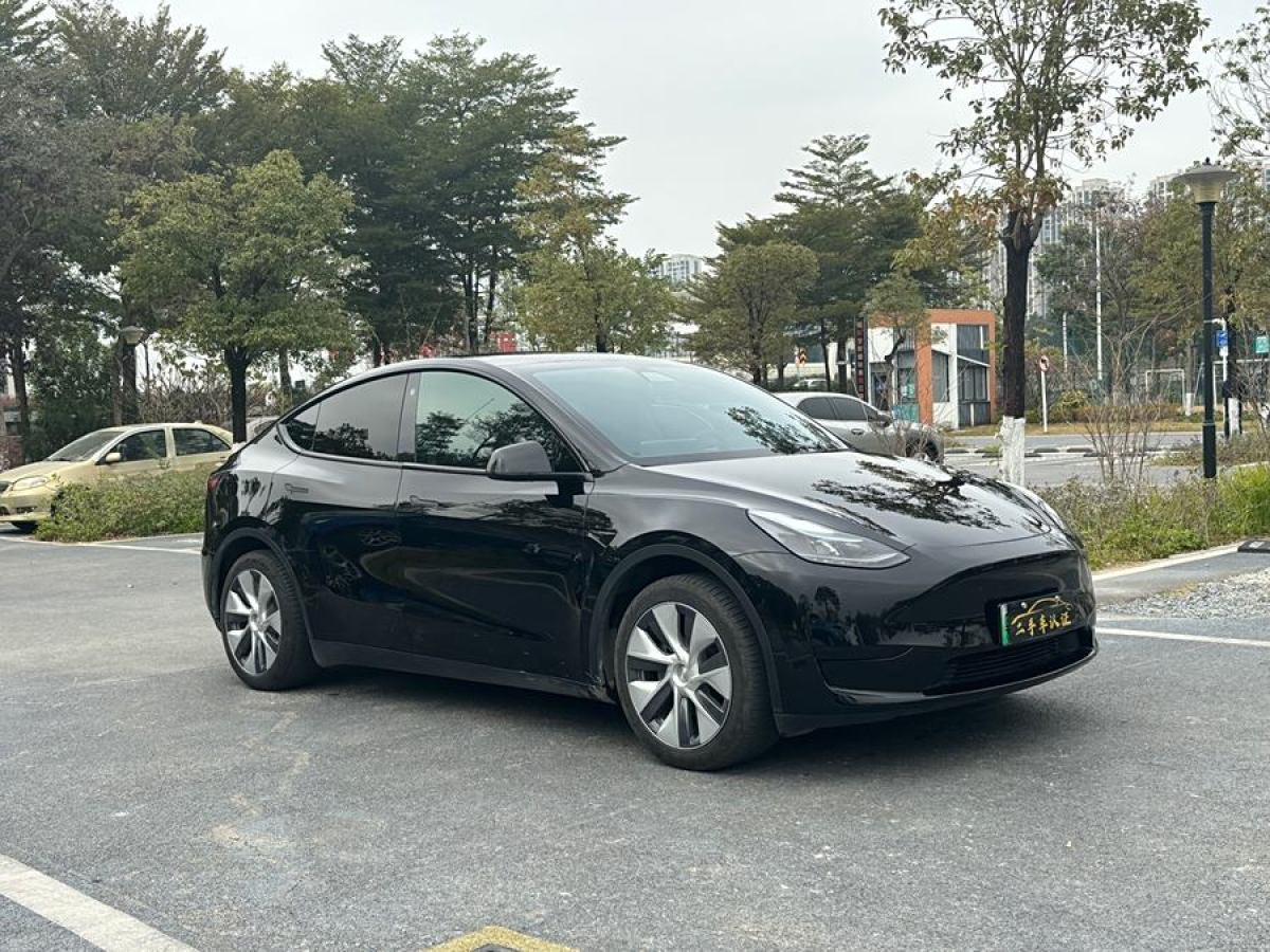 特斯拉 Model 3  2020款 改款 長續(xù)航后輪驅(qū)動(dòng)版圖片