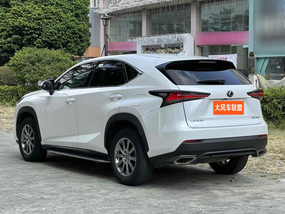 雷克薩斯 NX  2020款 300 前驅 鋒行版 國V圖片