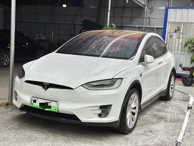 2019年11月 特斯拉 Model X Model X 100D 長續(xù)航版圖片