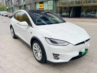 2019年3月 特斯拉 Model X Model X 100D 長續(xù)航版圖片