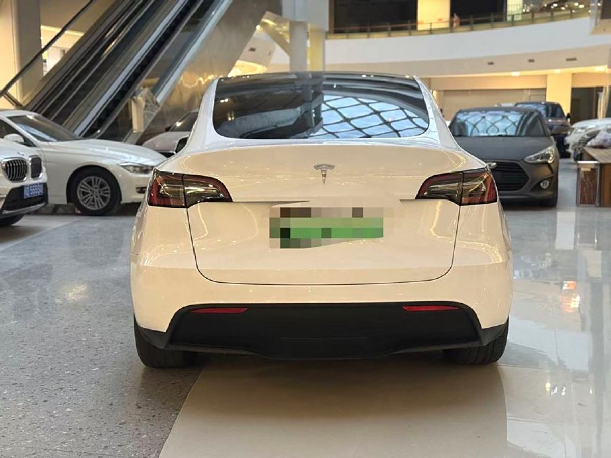 特斯拉 Model Y  2021款 改款 長續(xù)航全輪驅動版圖片