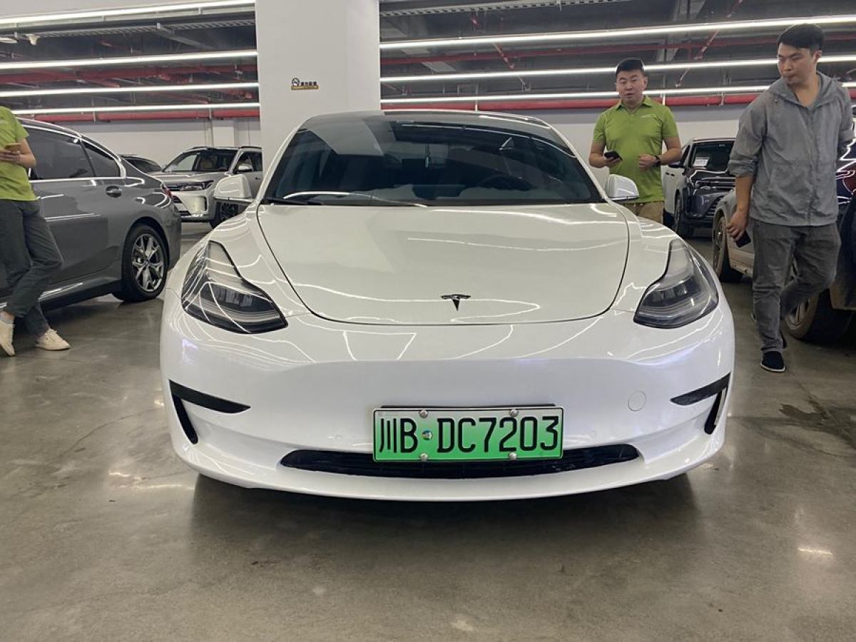 特斯拉 Model 3  2019款 標(biāo)準(zhǔn)續(xù)航后驅(qū)升級(jí)版圖片