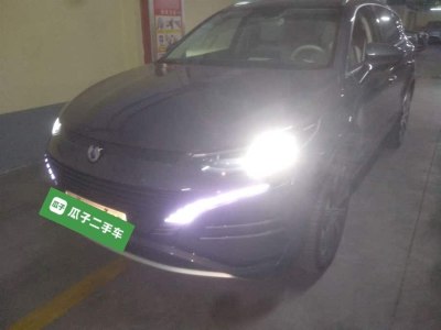 2023年8月 騰勢(shì) 騰勢(shì)N8 四驅(qū)超混旗艦七座版圖片
