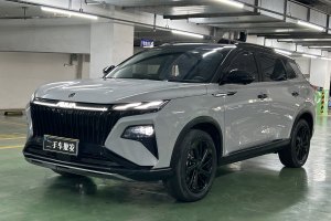 皓極 東風風神 馬赫動力 1.5T 敢行版?智