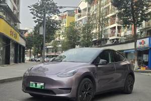 Model 3 特斯拉 煥新版 后輪驅(qū)動(dòng)