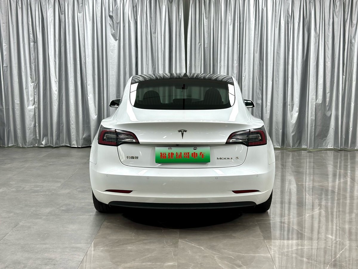 2021年2月特斯拉 Model 3  2019款 標(biāo)準(zhǔn)續(xù)航后驅(qū)升級(jí)版